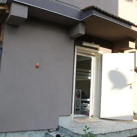 Near Paradise Centre * София
