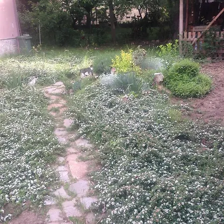 Апартаменты Near Paradise Centre