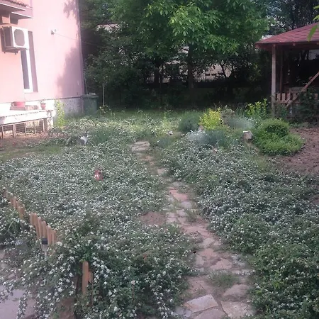 Near Paradise Centre Апартаменты *